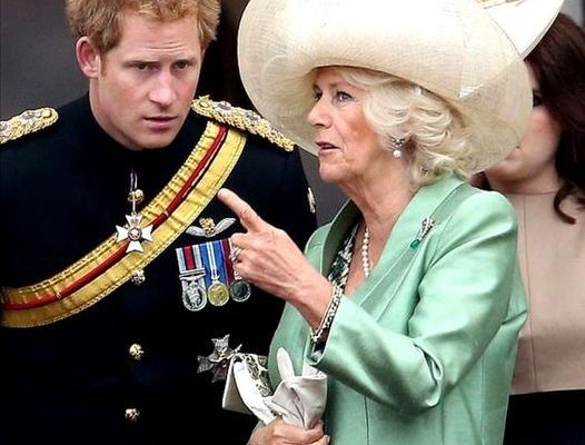 Harry Chose Not to Stay in the Same Room with Camilla While Visiting Ailing Dad — Inside Their Relationship